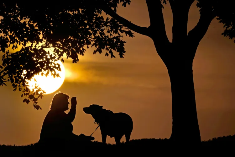 What you can do to adjust to daylight saving time changes